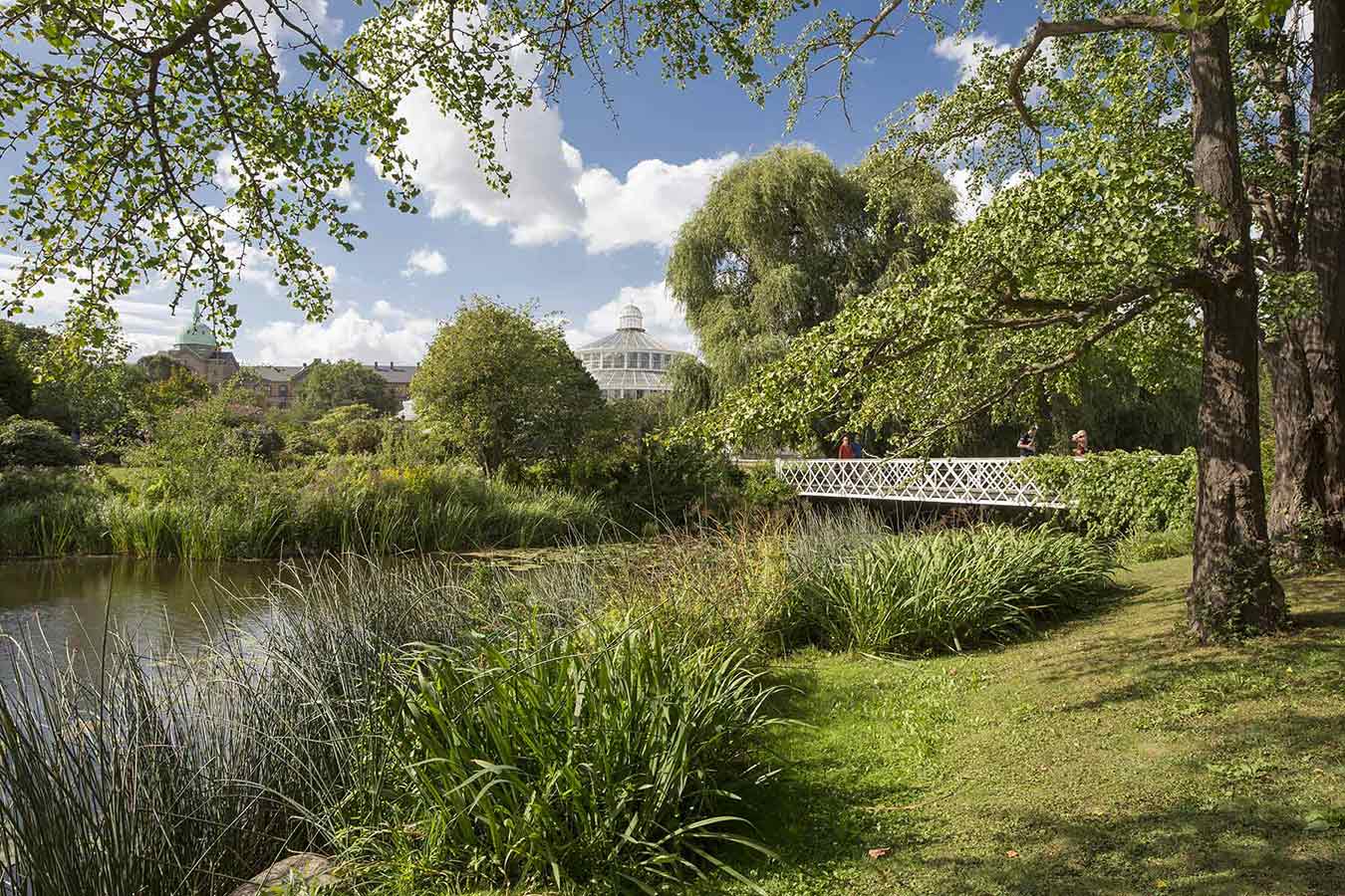 Copenhagen's Botanical Garde