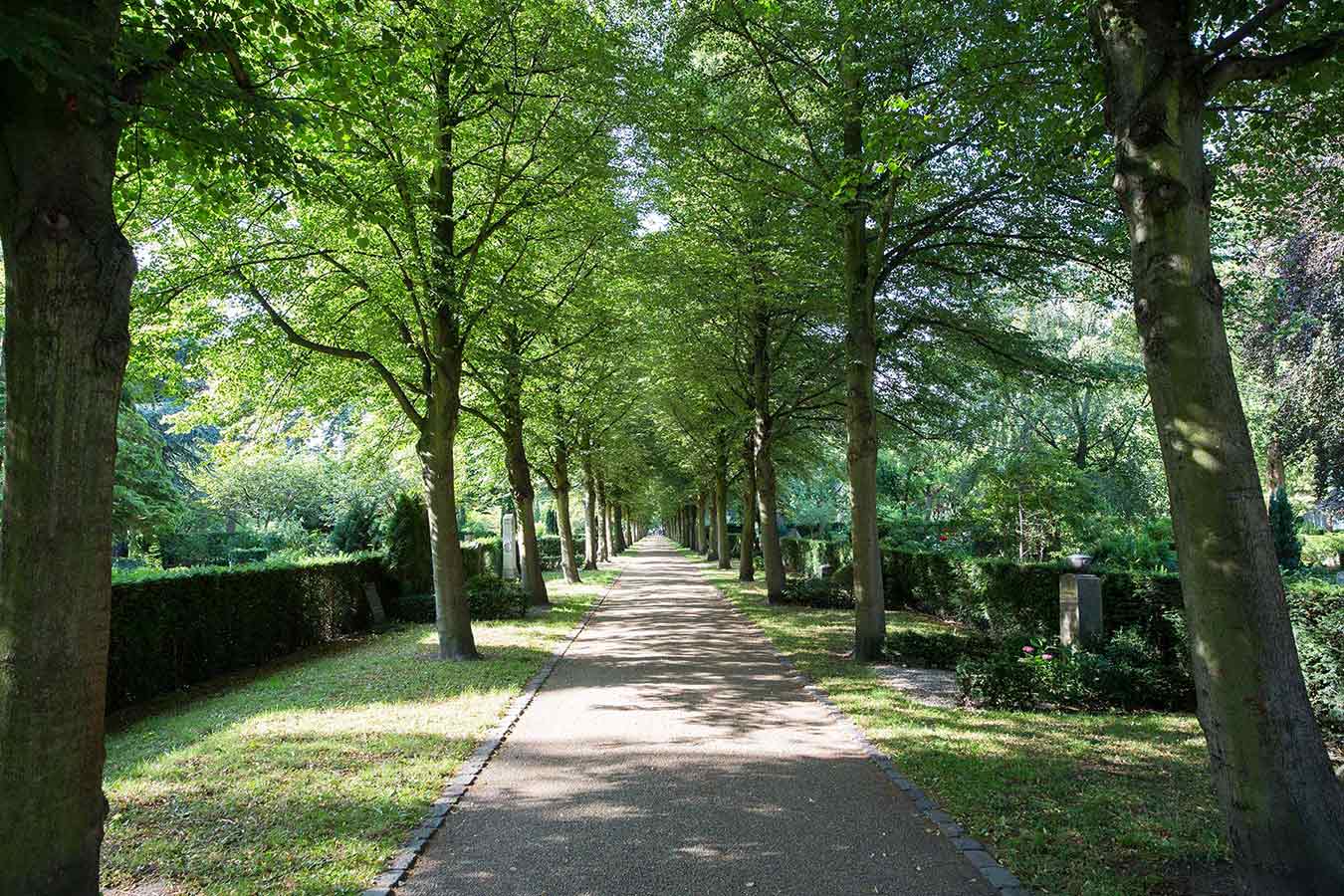 Assistens Kirkegaard