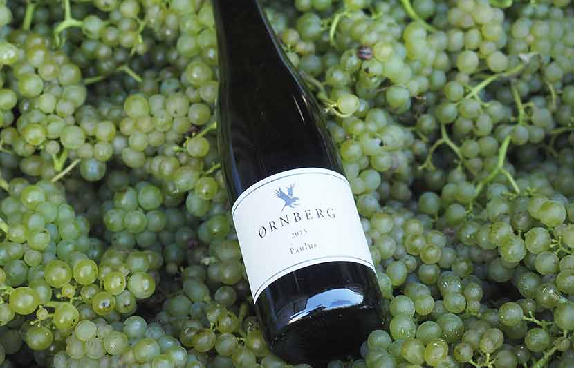 Ørnberg vin